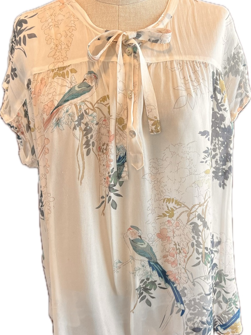 DYLAN Sheer Cream Floral & Bird Blouse + SUNDANCE Lace Trimmed Cami 2-Piece Set